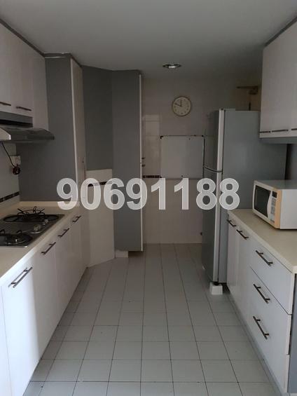The Tanamera (D16), Condominium #148748382